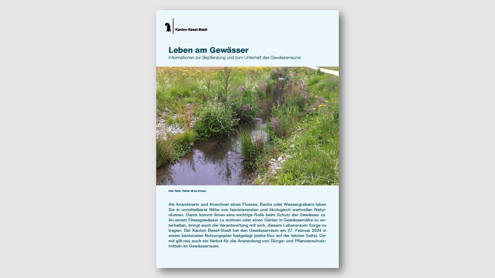 Broschüre über Gewässerlebensräume mit Pflanzen und Wasserlauf auf dem Cover.