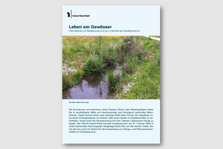 Broschüre über Gewässerlebensräume mit Pflanzen und Wasserlauf auf dem Cover.