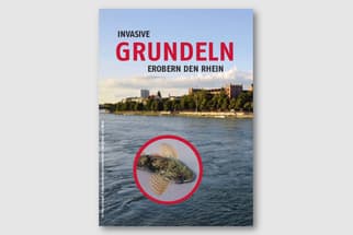 Poster über invasive Grundeln im Rhein.