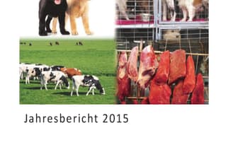 Cover des Jahresberichts 2015 des Veterinäramts Basel-Stadt mit Tieren.",