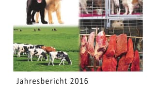 Jahresbericht 2016 des Veterinäramts Kanton Basel-Stadt mit Tierfotos.