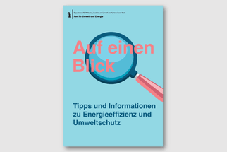 Eine Lupe, über die sich der Schriftzug "auf einen Blick" legt