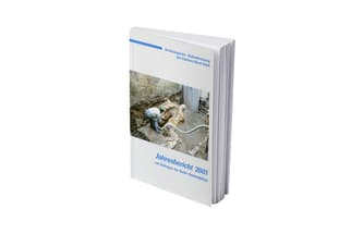 Buch mit Jahresbericht 2001, Bild einer archäologischen Ausgrabung auf dem Cover.