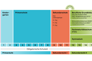 Grafik der Schullaufbahn in Basel-Stadt inklusive frühe Deutschförderung