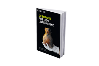 Buchcover mit Keramikfigur auf schwarzem Hintergrund.