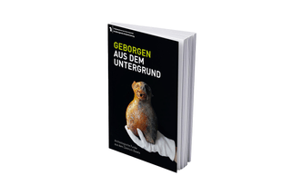 Buchcover mit Hand mit weissem Handschuh die ein mittelalterliches Wassergefäss fürs Händewaschen (Aquamanile) hält. Der Titel lautet: "Geborgen aus dem Untergrund: Archäologische Funde aus dem Zentrum Basels"