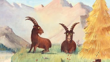 Zwei Steinböcke auf einer Wiese vor Bergen und Baum.