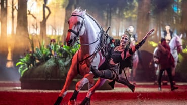 Trickreit-künstlerin reitet auf weissem Pferd während Reitshow im Waldthema.