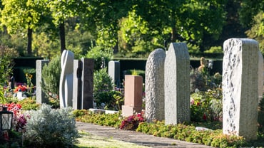 Grabsteine auf einem sonnigen Friedhof mit Grünanlage.