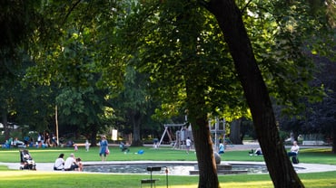 Menschen entspannen im sonnigen Park mit Bäumen und Spielplatz.