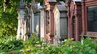 Reihe von Grabsteinen auf einem Friedhof mit Blumen im Vordergrund.
