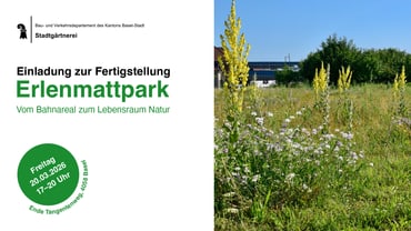 Einladung zur Fertigstellung des Erlenmattparks mit Wiese und Datumsschild.