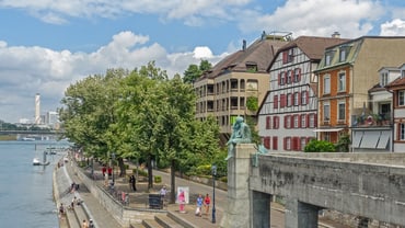 Rheinpromenade mit Bäumen und bunten Gebäuden.