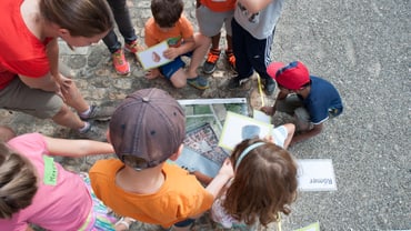 Gruppe von Kindern schaut auf Bilder auf dem Boden draussen sitzend.