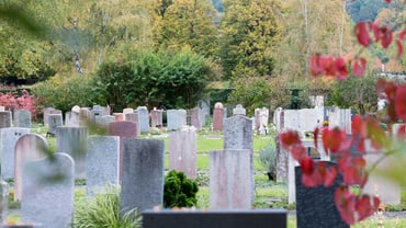Friedhof mit Grabsteinen und herbstlichen Bäumen.