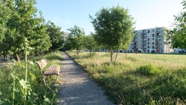 Gehweg im Park mit Bänken und Bäumen, Gebäude im Hintergrund.