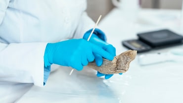 Wissenschaftler in blauen Handschuhen untersucht Artefakt im Labor.