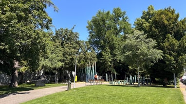 Grüne Wiese mit Bäumen unter klarem Himmel.