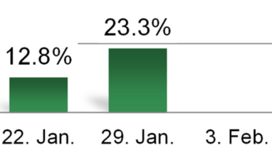 Balkendiagramm mit Daten für Januar und Februar.",