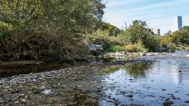 Flussufer mit Büschen und Hochhaus im Hintergrund.