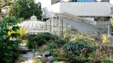 Gewächshäuser im botanischen Garten mit modernem Gebäude im Hintergrund.