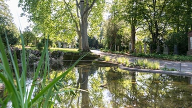 Teich im Wolfgottesacker mit grünem Laub und reflektierenden Gewässern.