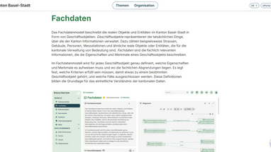 Screenshot der Webseite über das Fachdatenmodell des Kantons Basel-Stadt.