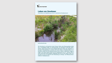 Broschüre über Gewässerlebensräume mit Pflanzen und Wasserlauf auf dem Cover.