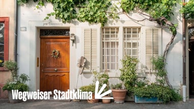 Hausfassade mit Holztür und Fenster, begrünt mit Pflanzen.