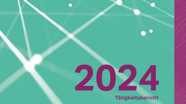 Tätigkeitsbericht 2024 auf grünem Hintergrund mit Linien.