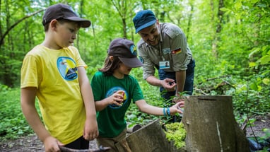 Kinder erkunden mit einem Erwachsenen die Natur im Wald.