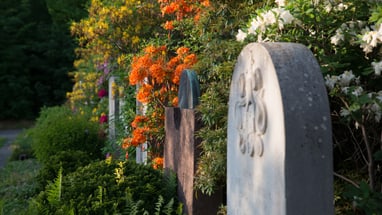 Grabstein und Blumen auf einem Friedhof.