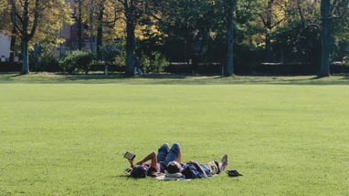 Menschen liegen auf Gras unter Bäumen im Park.