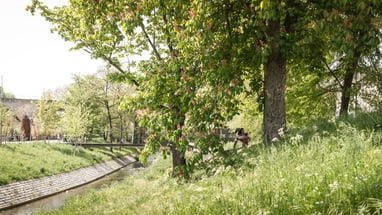 Grüne Parkszenen mit Bäumen und kleinem Bach.