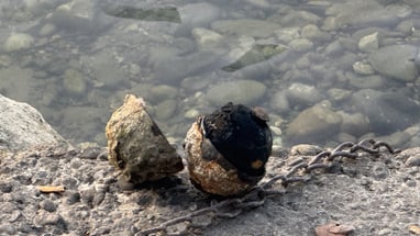Alte Metallkette an einem betonierten Flussufer mit Steinen und Wasser im Hintergrund.