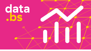 Pinkes Logo mit Diagramm und Text 'data.bs'.