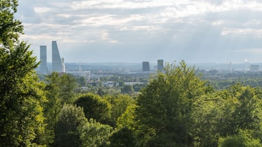 Die Roche-Türme in Basel hinter einer Waldlandschaft.