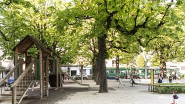 Spielplatz mit Kindern unter grossen Bäumen.