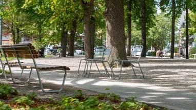 Leerer Park mit Bänken und Bäumen.