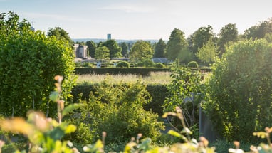 Blick auf den Friedhof am Hörnli