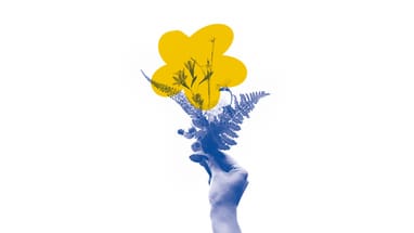 Hand hält Blumen und Farn mit gelber Blume im Hintergrund.