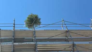 Metallgerüst mit Baum davor, blauer Himmel im Hintergrund.