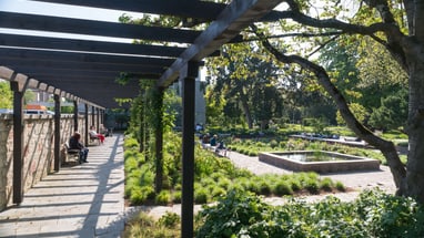 Garten mit Pergola im Kannenfeldpark