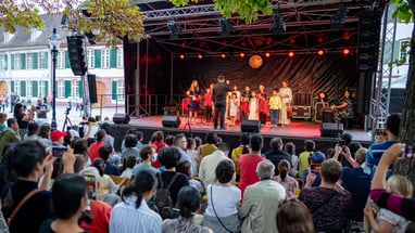 Publikum bei einem Konzert im Freien mit Bühnenauftritt bei Nacht.