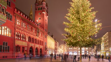 Beleuchteter Weihnachtsbaum auf einem Platz mit historischer Architektur bei Nacht.