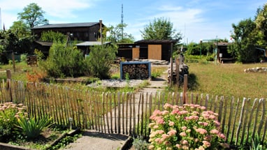 Rustikaler Garten mit Blumen, Holzzaun und Gartenhütten.",