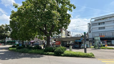 Stadtplatz mit Baum und Geschäften an sonnigem Tag.