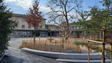 Schulhof mit Bäumen und Gebäuden im Hintergrund.