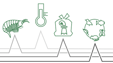 Symbole von Wasserfloh, Thermometer, Geldsack, Recycling.