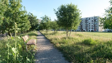 Abbildung mit Parkbank im Erlenmattpark